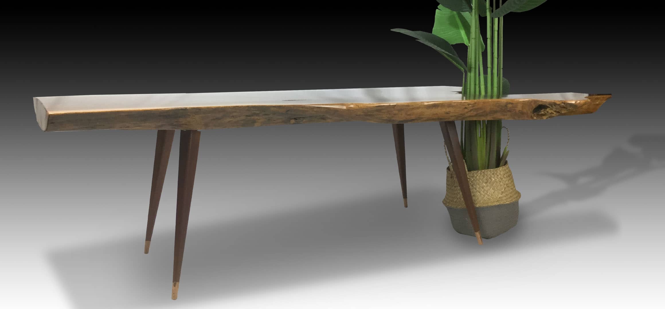 Leopard live edge Walnut wood coffee table with plant side view 3